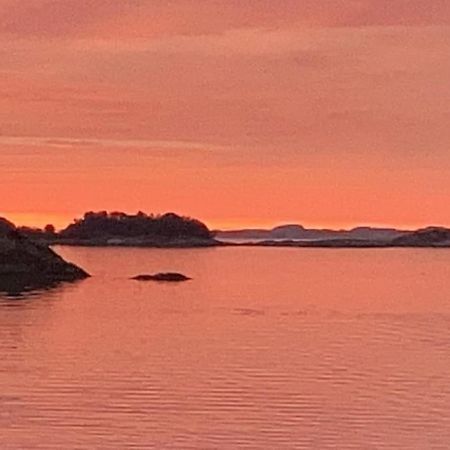 Eksklusiv Rorbu - Havblikk 1 - Batutleie Villa Bekkjarvik Exteriör bild
