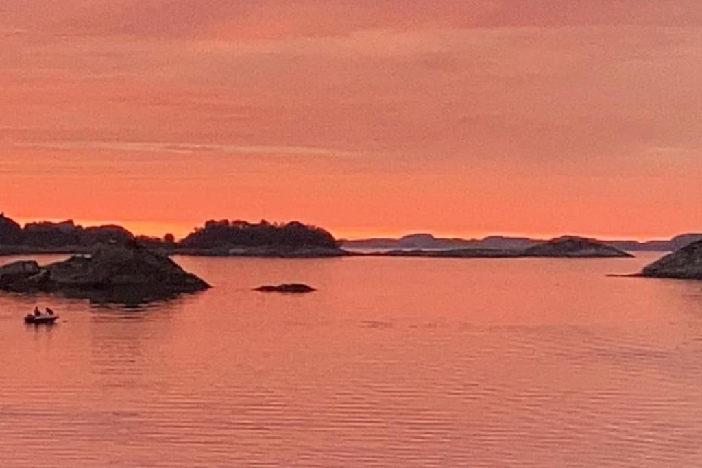 Eksklusiv Rorbu - Havblikk 1 - Batutleie Villa Bekkjarvik Exteriör bild